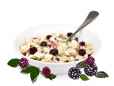 bramble country - apple barley, apple pieces, rolled spelt flakes, freeze dried blackberry pieces, roasted hazelnuts, crispy millet flakes and pumpkin seeds bramble country - apple barley, apple pieces, rolled spelt flakes, freeze dried blackberry pieces, roasted hazelnuts, crispy millet flakes and pumpkin seeds